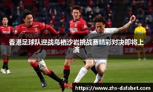 dafa大发彩票